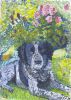 Dateiname=Claudia nagel Hund.jpg
Dateigröße=138KB
Abmessungen: 498x700
hinzugefügt am: 06. Mai 2007 Claudia nagel Hund.jpg