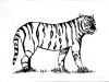 Dateiname=Florian_Maier_13_Tiger_web.jpg
Dateigröße=27KB
Abmessungen: 887x672
hinzugefügt am: 09. Februar 2011 Florian_Maier_13_Tiger_web.jpg