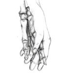 Emilia 14J hand